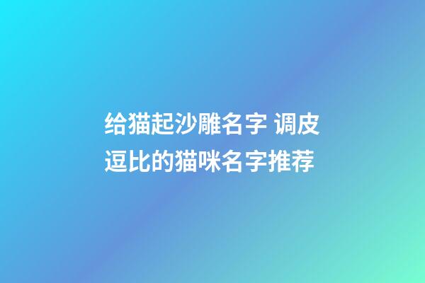 给猫起沙雕名字 调皮逗比的猫咪名字推荐